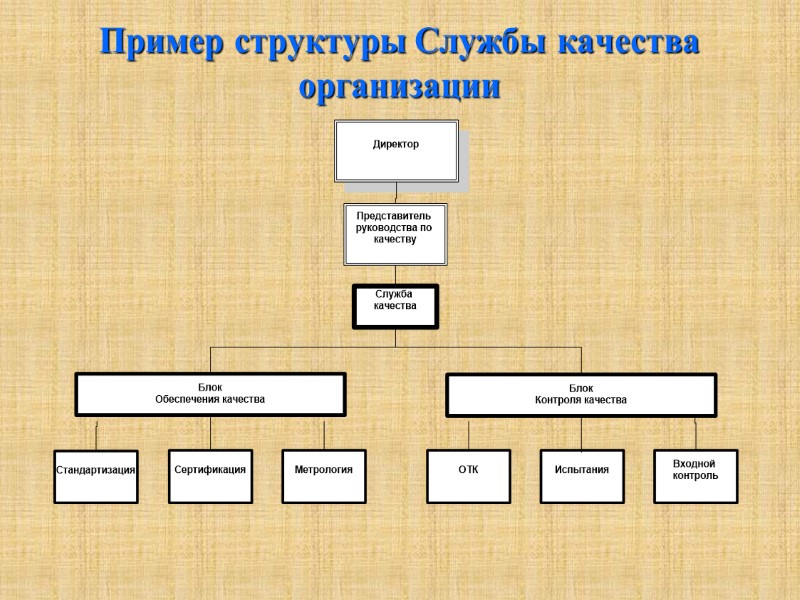 Пример структуры Службы качества организации